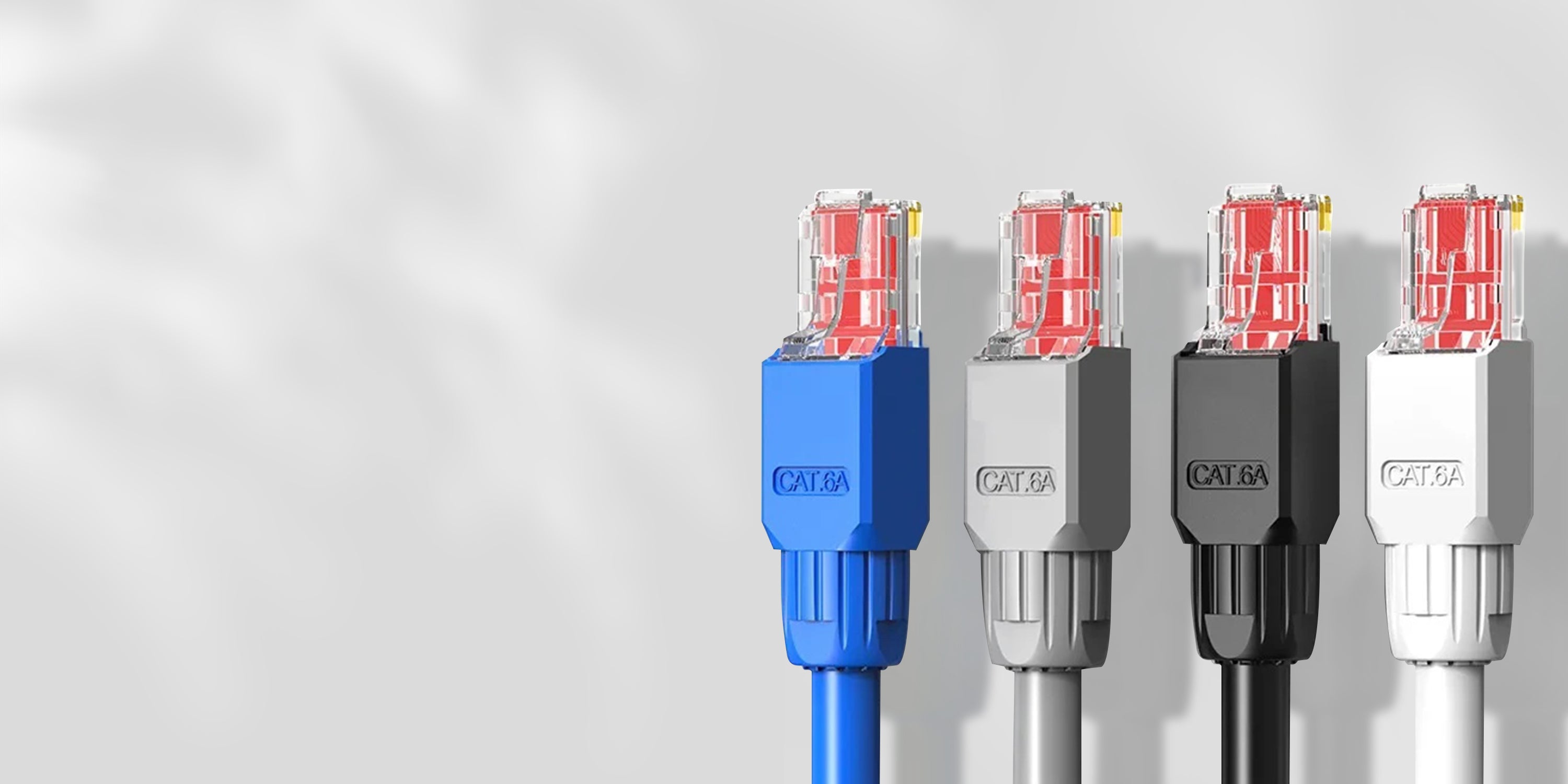 zoeページ ZOERAX – ZoeRax